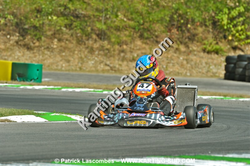 DSC_ (951).JPG